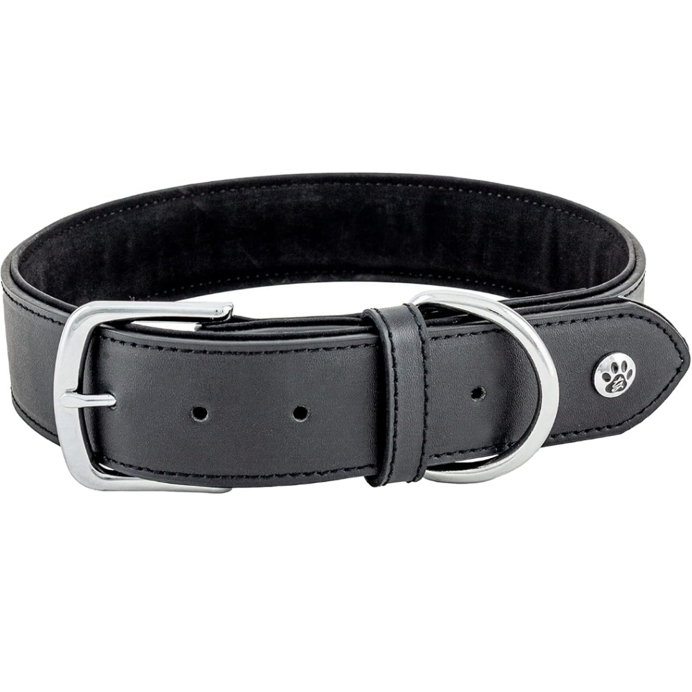 NWT Trisha Yearwood Pet Collection Padded Cute Leather Dog Collar In Black